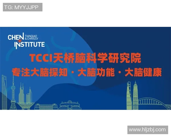 杭州排球队速度表现分析与提升策略探讨MBA