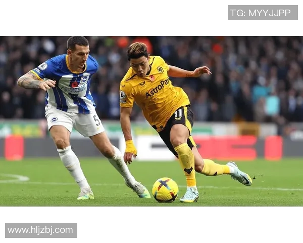 埃弗顿与狼队对决前瞻及比分预测分析,谁将赢得这场关键战役