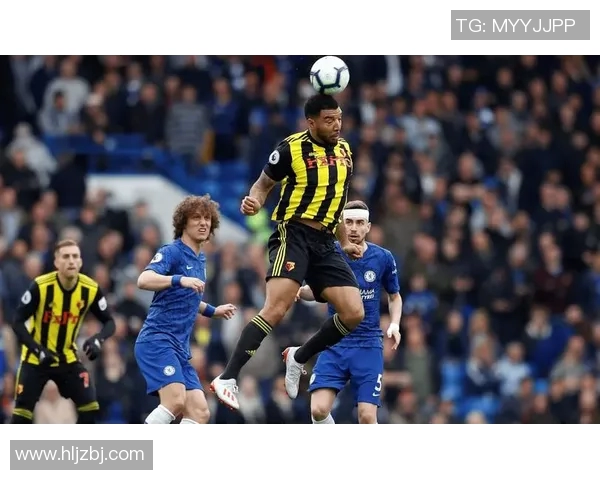 女王巡游与西布朗姆的精彩对决揭示英冠联赛新篇章 女王巡游与西布朗姆的精彩对决揭示英冠联赛新篇章