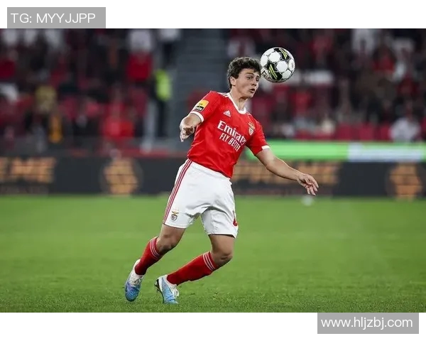 若昂内维斯的足球之路：从青训新星到国际赛场的闪耀之星